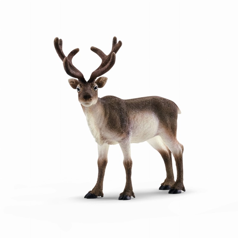 SCHLEICH-14837-RENIFER-14837_SCH^_17243_702_1.jpg