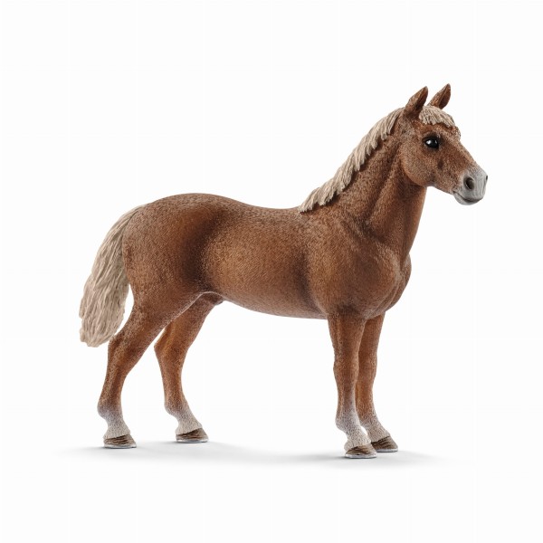SCHLEICH-13869-KON-MORGANOWY-13869_SCH^_7442_1031_0.jpg