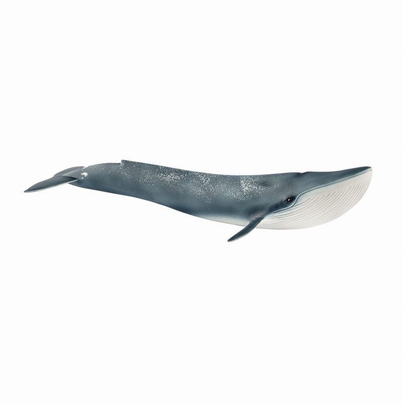 SCHLEICH-14806-PLETWAL-BLEKITNY-14806_SCH^_17241_699_1.jpg