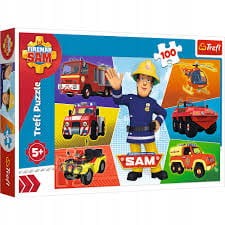PUZZLE 100 16354 TREFL 