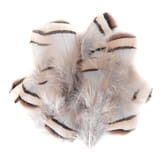 PIÓRA BAŻANTA 5-7CM  15SZT 