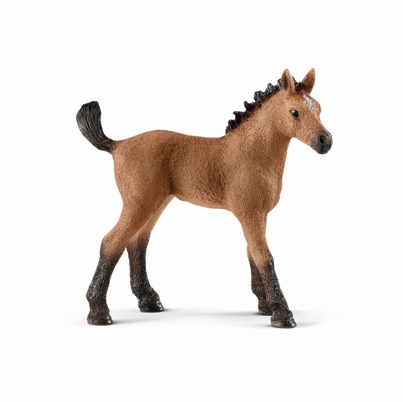 SCHLEICH-13854-KON-RASY-GUARTERZREBIE-13854_SCH^_7445_981_1.jpg