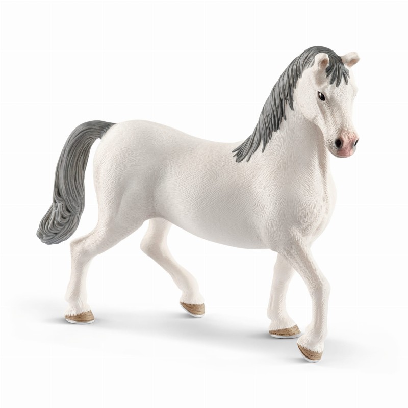 SCHLEICH-13887-LIPIZZANER-OGIER-13887_SCH^_17222_1004_1.jpg