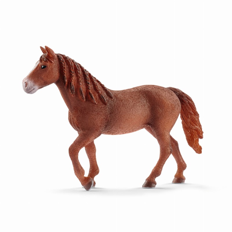 SCHLEICH-13870-KLACZ-RASYMORGAN-13870_SCH^_7439_1021_1.jpg