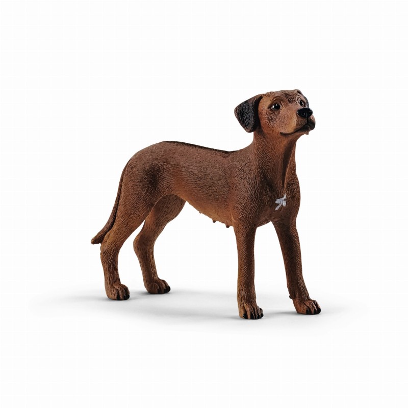 SCHLEICH-13895-RHODESIANRIDGEBACK-13895_SCH^_17244_723_1.jpg