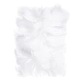 PIORKA-5-12CM-WHITE-CEPI-012^_22035_2093_1.jpg