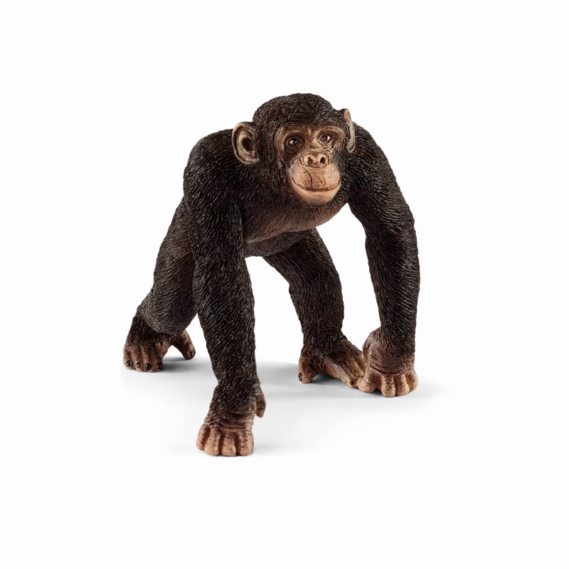 SCHLEICH-14817-SZYMPANS-SAMIEC-14817_SCH^_17246_705_1.jpg