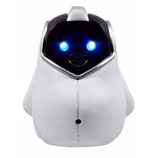 ROBOT-TOBI-CHATTER-6566755EUC^_20086_1291_1.jpg