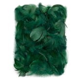 PIORKA-5-12CM-DARK-GREEN-CEPI-024^_22040_2087_1.jpg