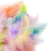 PIORKA-5-12CM-PASTEL-CEPI-103^_22039_2124_1.jpg