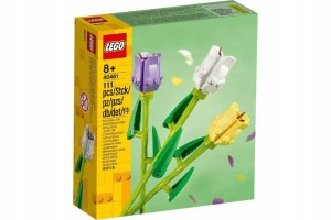 LEGO CREATOR 40461 