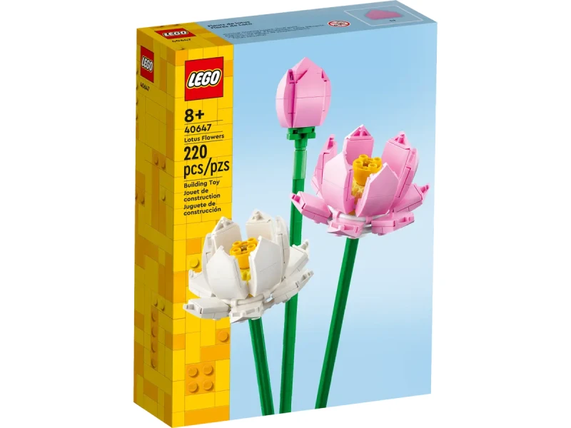 kwiaty lotosu.webp