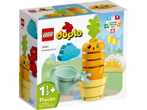 LEGO DUPLO 10981 