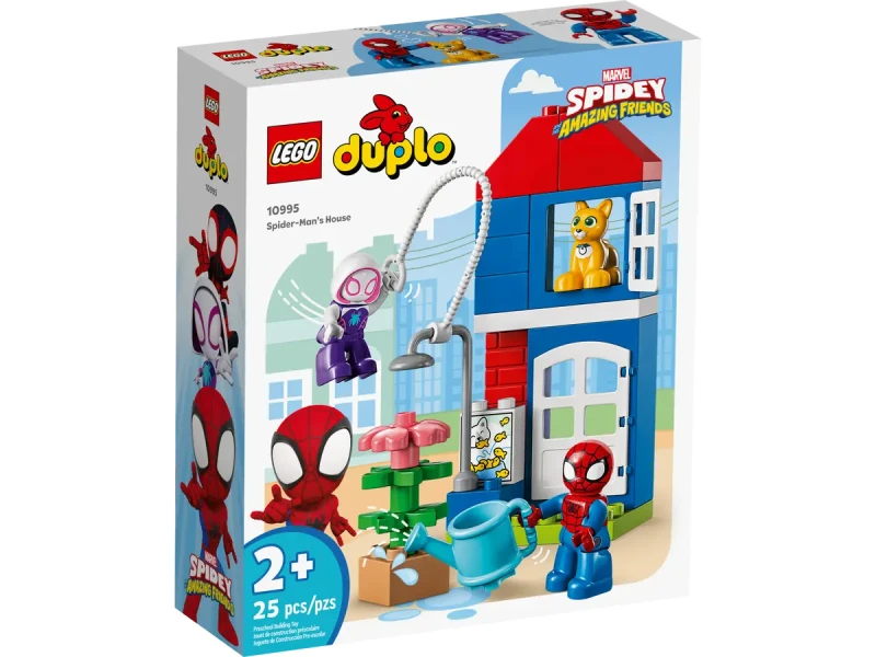 spider.webp