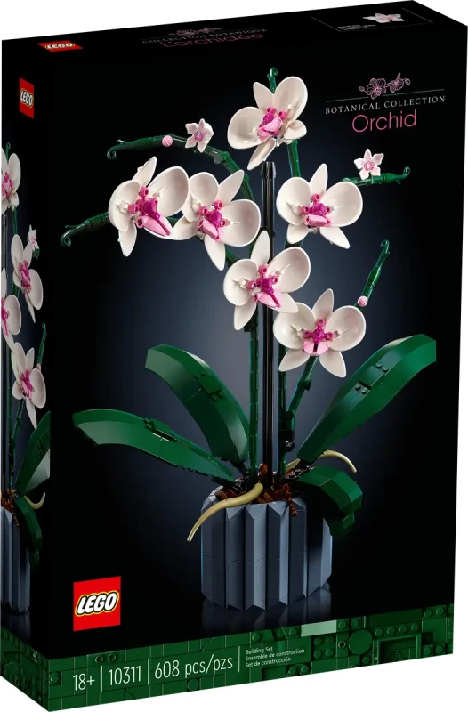 orchidea.webp
