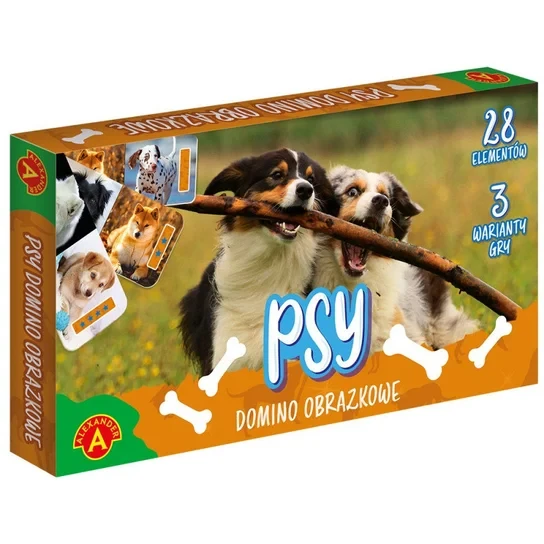 psy.webp