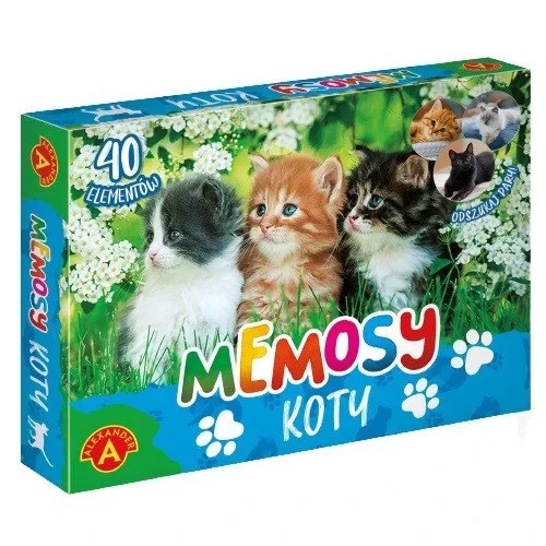 koty.webp