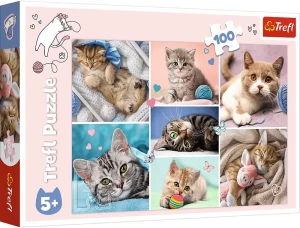 PUZZLE 100 /16420 TREFL 