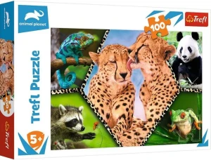 PUZZLE 100 16424/TREFL 