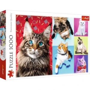 PUZZLE 1000 WESOŁE KOTY 