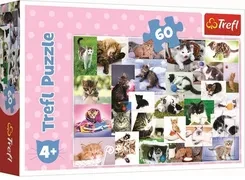 PUZZLE 60 17332 TREFL 