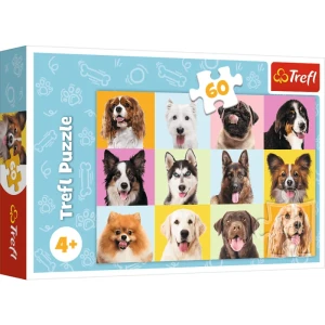PUZZLE 60 17374 TREFL 