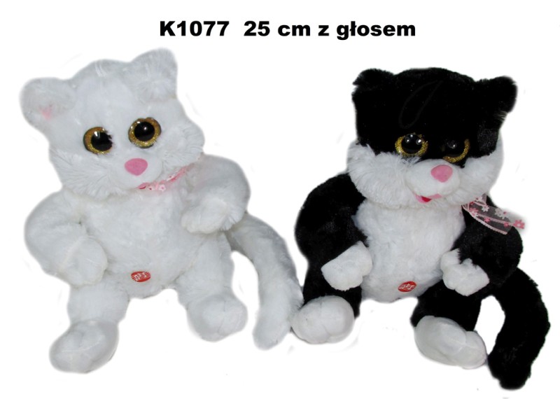 K1077.jpg