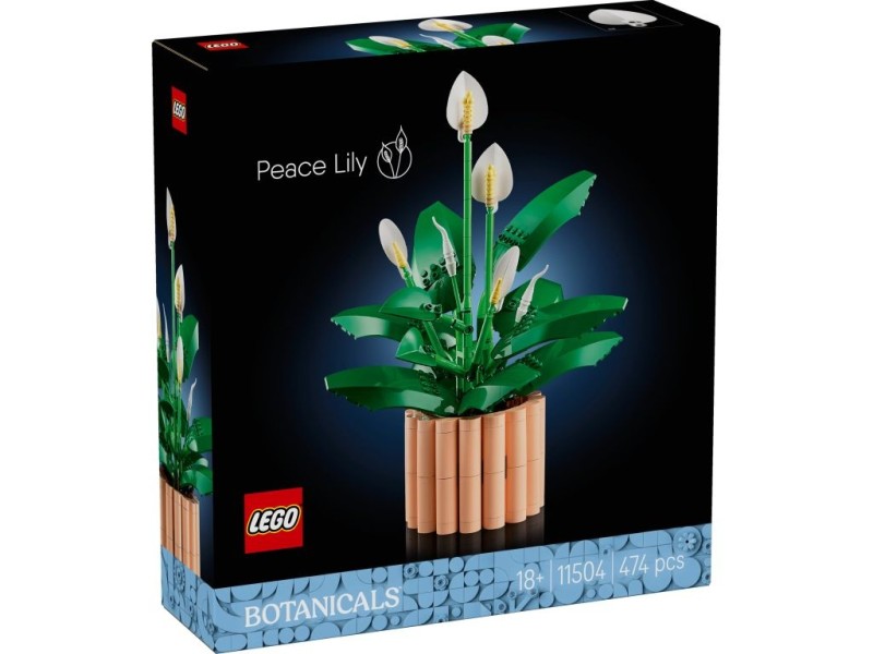 LEGO-11504-Botanicals-Skrzydlokwiat.jpeg