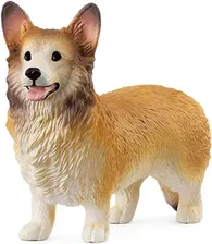 f-slh-welsh-corgie-13999.webp
